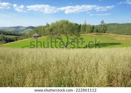 country scene at evening, Serbia