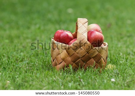 wicker basket full of gala apples, on fresh grass