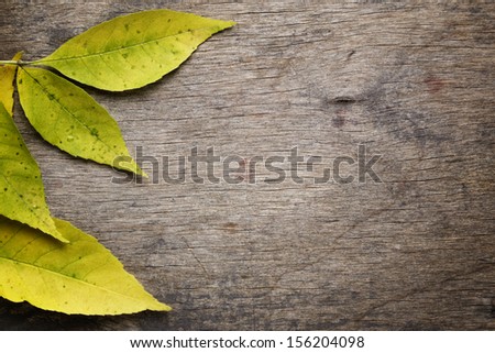 autumn ash leaves on wood surface, horizontal