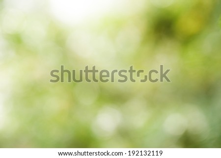 summer natural blur background, natural optical bokeh