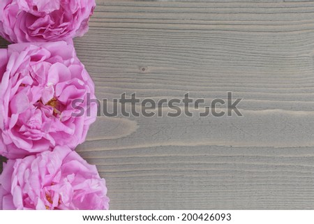 pink rose flowers, on rustic wood table