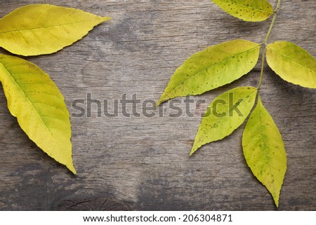 ash leaves on old wood table, fall background
