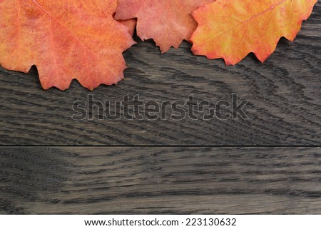autumn background with red oak leaves on stained oak table, directly from above