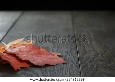 autumn red oak leaves on old oak table, rustic style