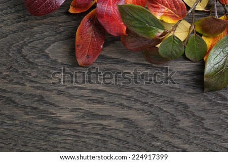 autumn background with bush leaves on stained oak table, directly from above