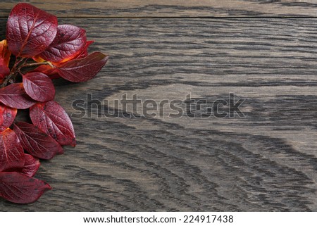 autumn background with bush leaves on stained oak table, directly from above