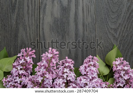purple lilac flower on old oak table top view with copy space, flower background
