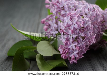 purple lilac flower on old oak table, summer rustic flowers