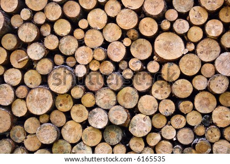 Greater woodpile from dry round fire wood