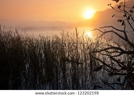 Mist over the river at sunrise