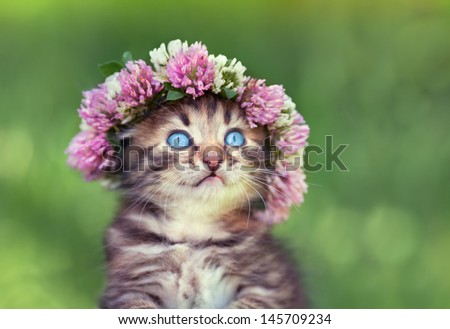 Portrait Of Cute Dreaming Little Kitten Crowned With A Chaplet Of Clover