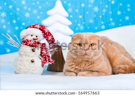 Cat lying near snowman at Christmas background