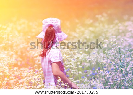 Little girl picking flowers in the meadow