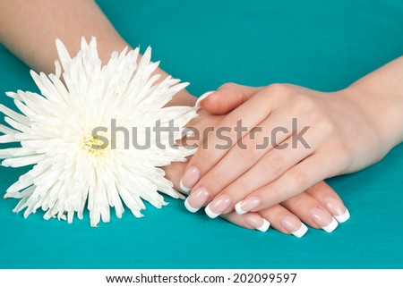 Beautiful woman\'s hands and nails with french manicure and chrysanthemum flower