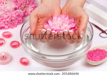 Beautiful woman\'s hands with perfect french manicure in bowl of water holding chrysanthemum flower