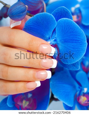 Beautiful woman\'s hand with perfect french manicure holding blue orchid flowers