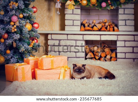 Cat lying on fireplace near Christmas tree and presents