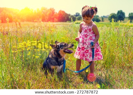 Little girl with big dog walking on the meadow
