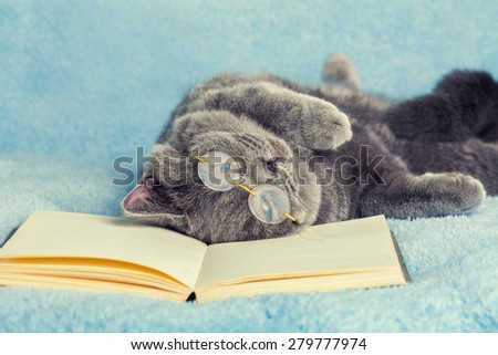 A blue british cat is wearing glasses lying and sleeping on back on the book