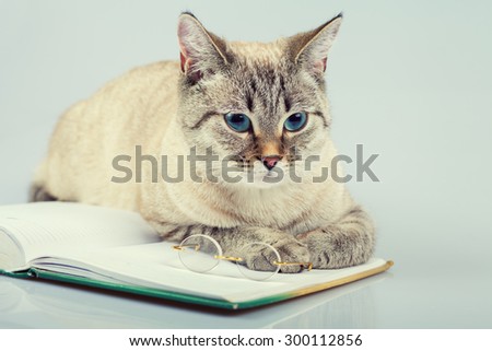 Cute business cat reading notebook (book)