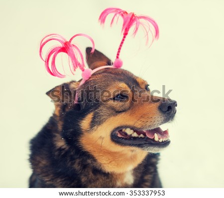 Portrait of dog wearing Christmas headband