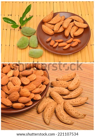 Peeled almonds on the ceramic saucer and in the nutshell on the wooden background. Collage