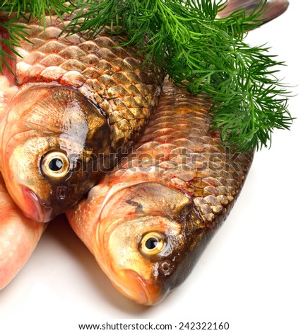 Crucian carp fishes with green dill isolated on white background