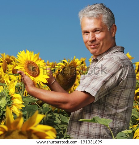Smiling senior farmer is showing his sunflower field with proud on a sunny day in summer.