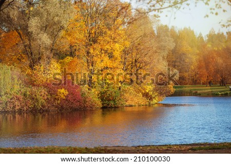 Autumn Landscape. Park in Autumn. The bright colors of fall in the park by the lake.