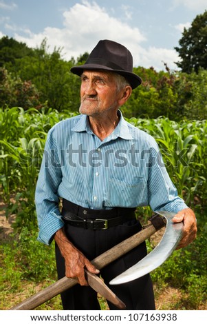 Senior farmer sharpening his scythe with a corn field and a forest in the background