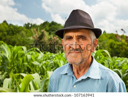 Portrait of a senior farmer with a corn field in the background, selective focus
