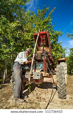 Senior farmer repairing the engine of his tractor in an orchard