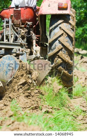 Red tractor plowing in an orchard
