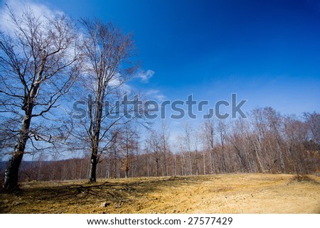 Landscape with dried muddy field and forest