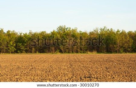 Plough soil under blue sky
