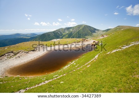 Horses drinking water from a pond in the mountains