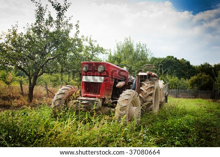 Red tractor in grass in an orchard