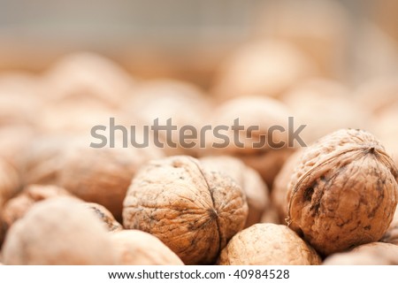 Close-up of a pile of nuts out to dry