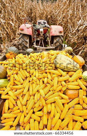 Corn Trailer