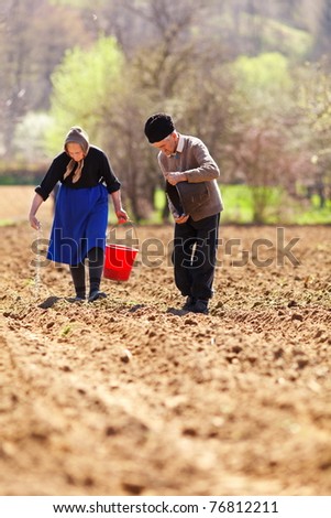 Old senior couple of farmers planting seeds mixed with fertilizer, manually