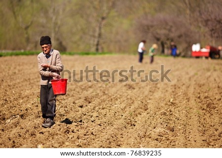 Old farmer sowing seeds mixed with fertilizer from a bucket