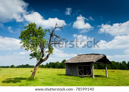 Landscape with a wooden cabin or shack and a tree nearby