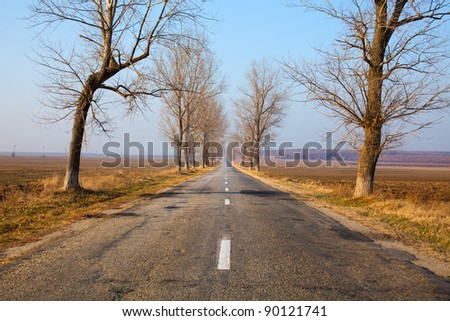 Landscape with straight empty road between poplar trees