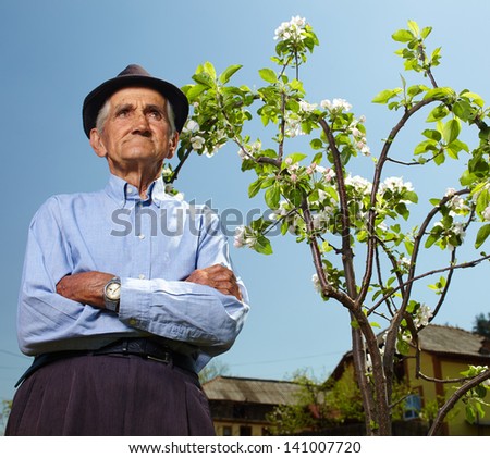 Senior farmer with a baby apple tree in a sunny day