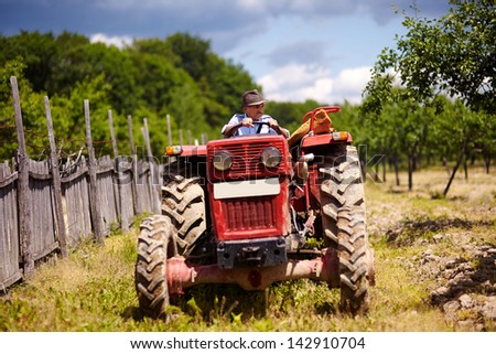 Senior farmer driving his old tractor with trailer through a plum trees orchard