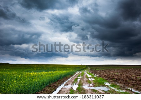 Dramatic landscape with heavy clouds and a muddy rural road through a rape field