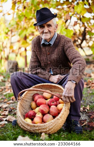 Farmers market, healthy food: senior farmer displaying organic homegrown apples in a basket