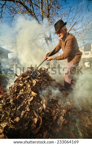 Senior farmer cleaning his garden of fallen leaves, burning them in a pile