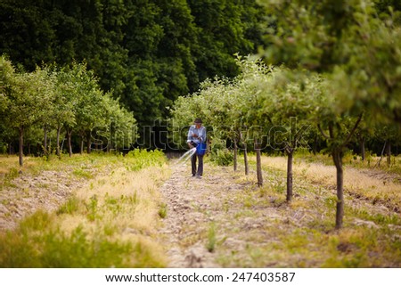 Senior farmer spreading fertilizer from a bucket into a plum trees orchard, spring work