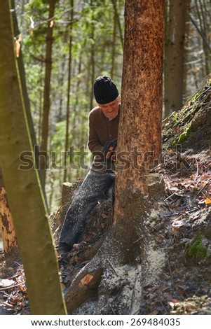 Senior caucasian man woodcutter cutting down trees with chainsaw